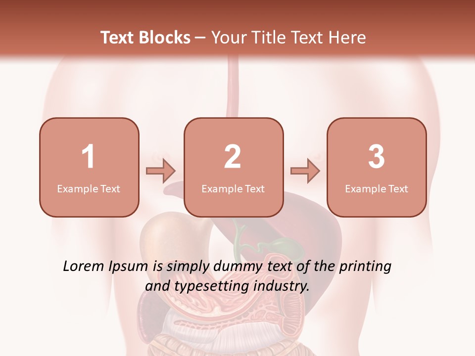 Symbol Health Cecum PowerPoint Template