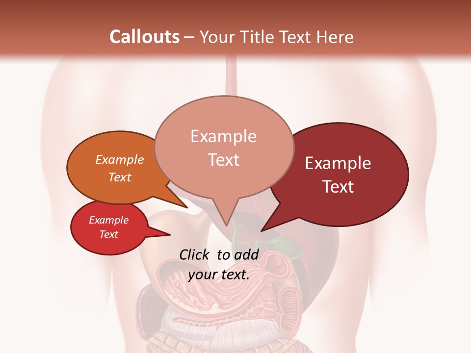 Symbol Health Cecum PowerPoint Template