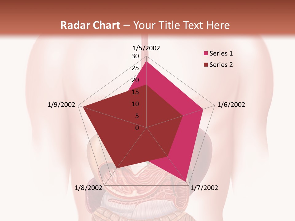 Symbol Health Cecum PowerPoint Template
