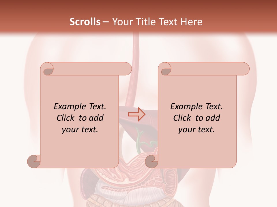 Symbol Health Cecum PowerPoint Template