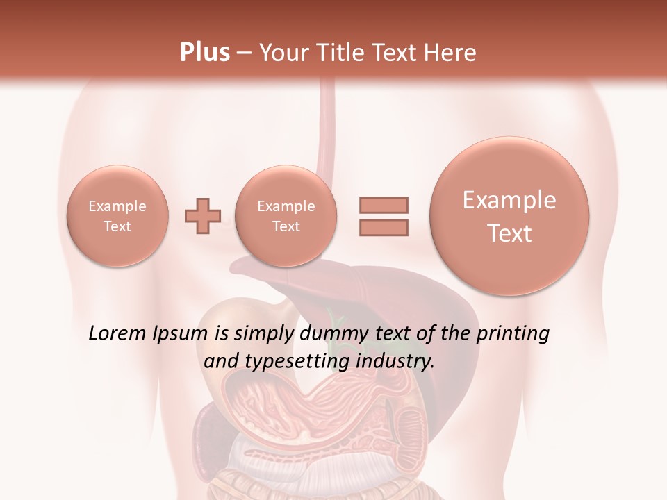 Symbol Health Cecum PowerPoint Template