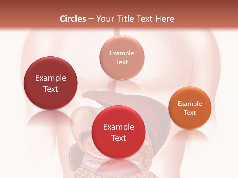 Symbol Health Cecum PowerPoint Template