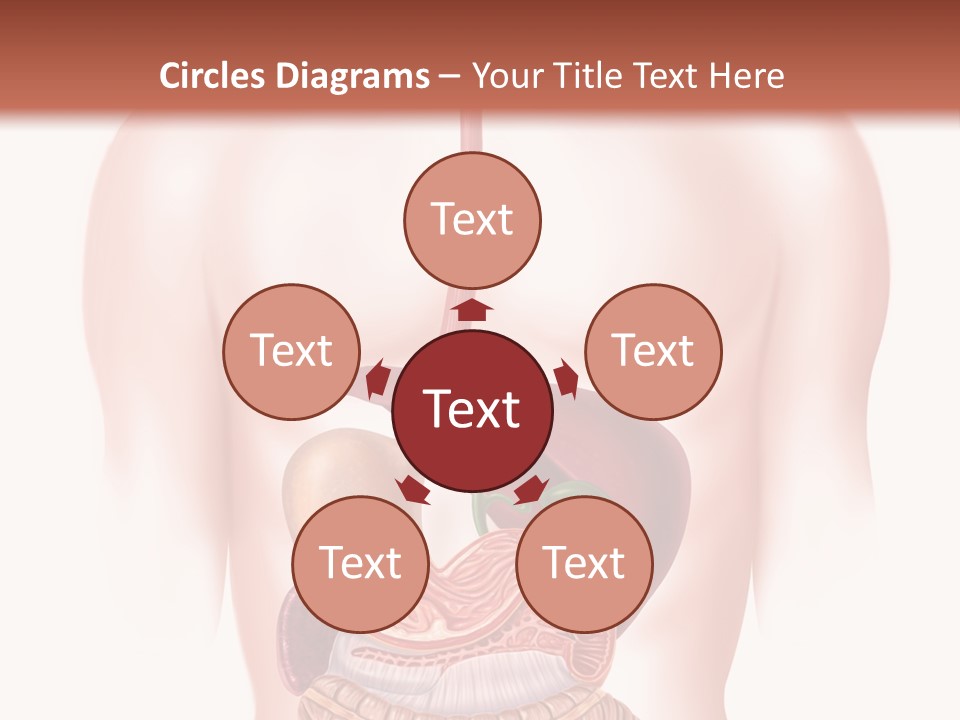 Symbol Health Cecum PowerPoint Template