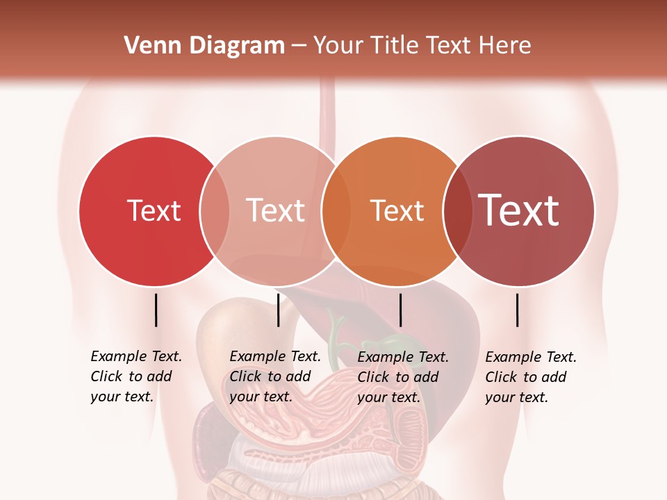 Symbol Health Cecum PowerPoint Template