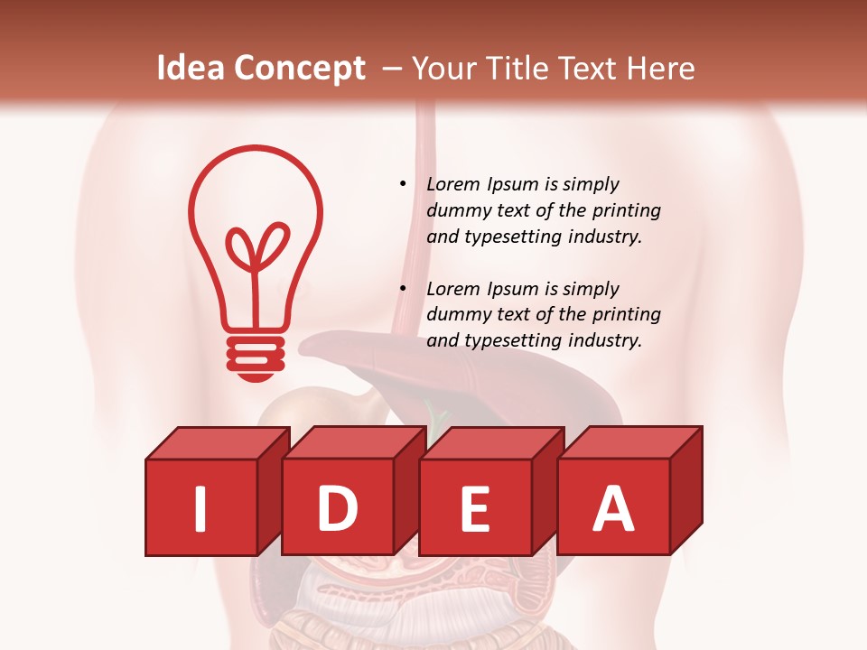 Symbol Health Cecum PowerPoint Template