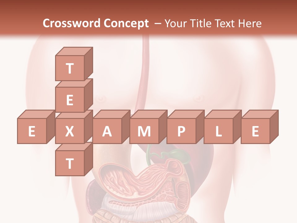 Symbol Health Cecum PowerPoint Template