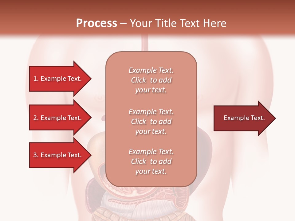 Symbol Health Cecum PowerPoint Template