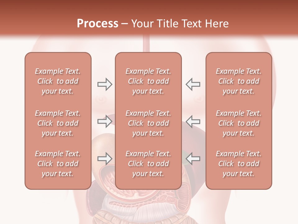 Symbol Health Cecum PowerPoint Template