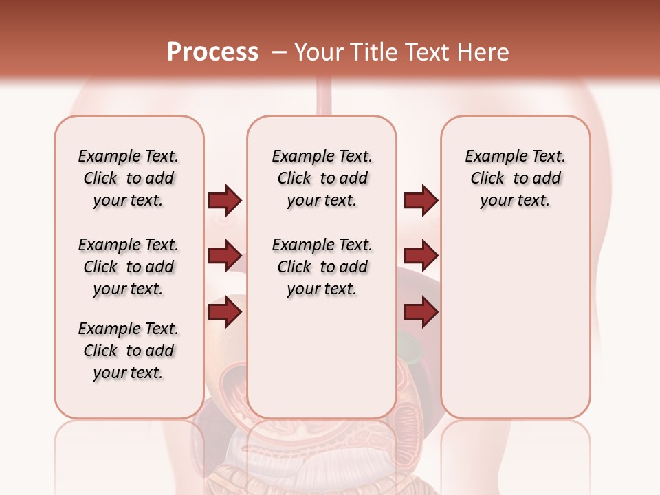Symbol Health Cecum PowerPoint Template