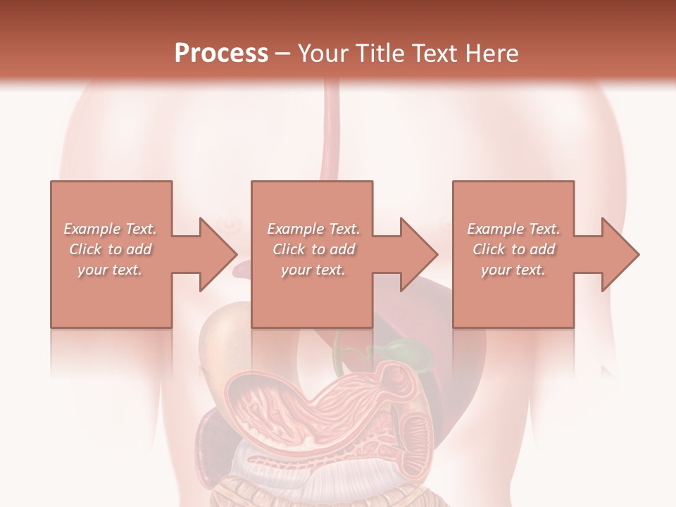 Symbol Health Cecum PowerPoint Template