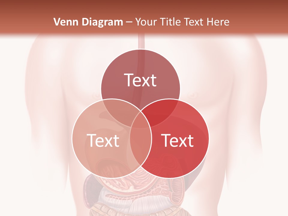 Symbol Health Cecum PowerPoint Template