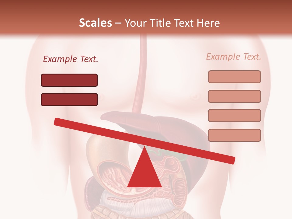 Symbol Health Cecum PowerPoint Template