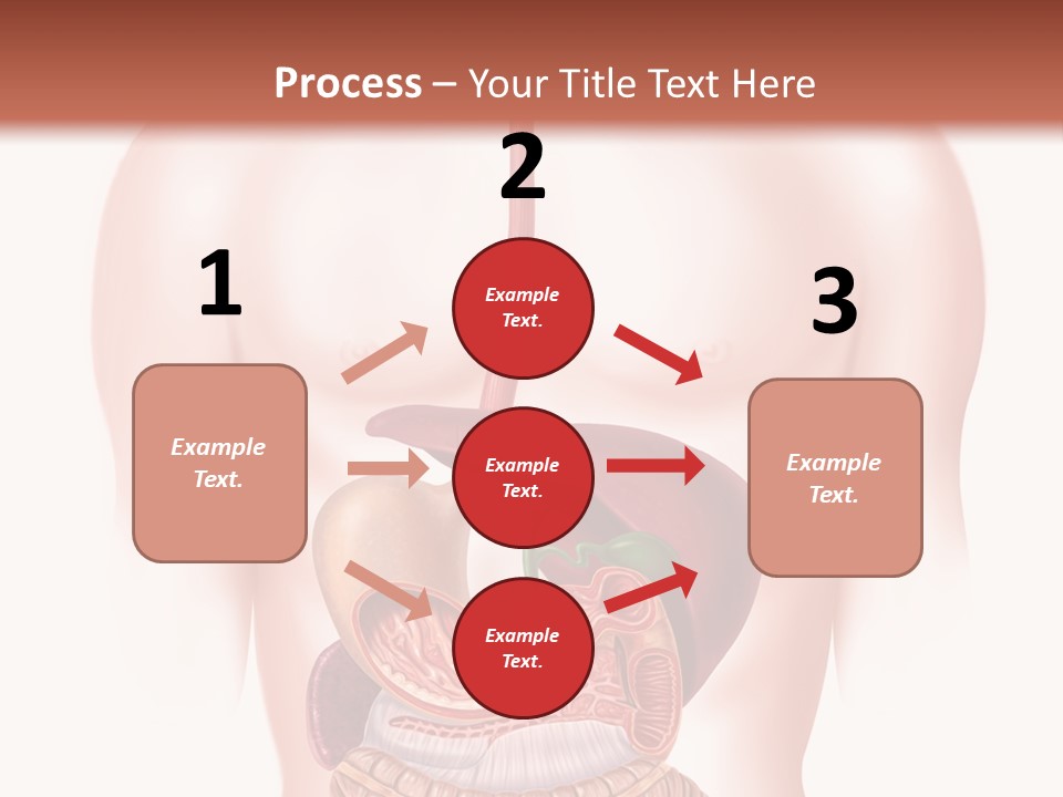 Symbol Health Cecum PowerPoint Template