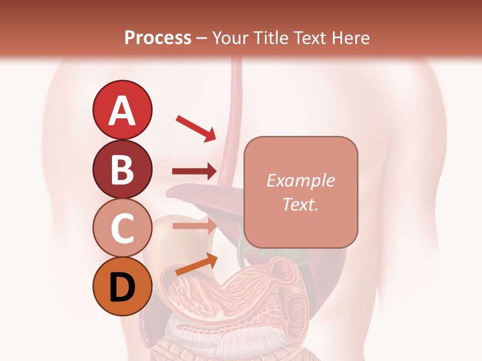 Symbol Health Cecum PowerPoint Template