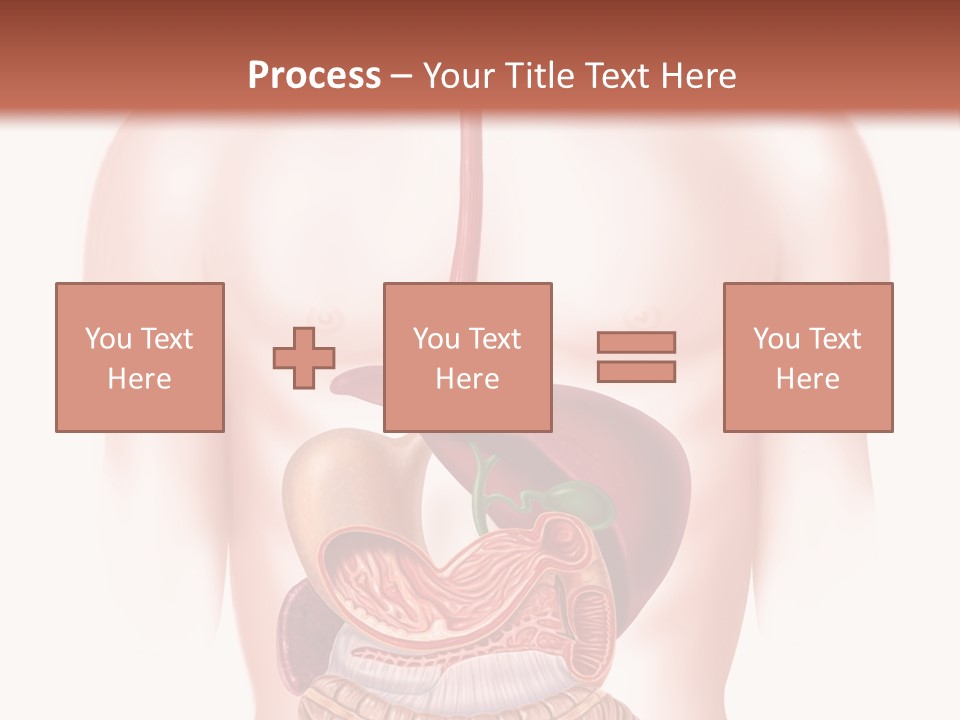 Symbol Health Cecum PowerPoint Template
