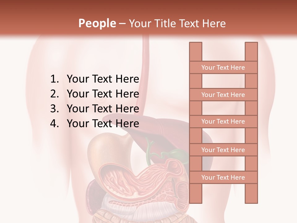 Symbol Health Cecum PowerPoint Template