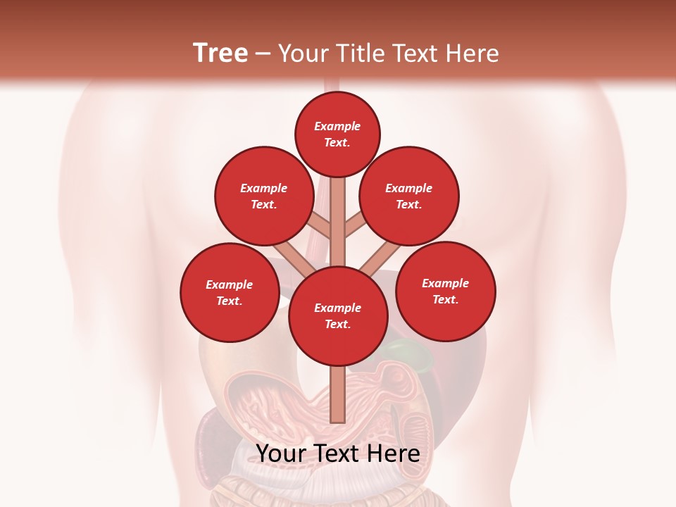 Symbol Health Cecum PowerPoint Template