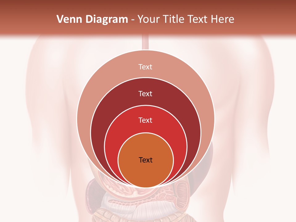 Symbol Health Cecum PowerPoint Template