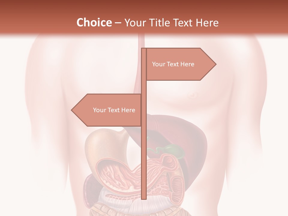 Symbol Health Cecum PowerPoint Template