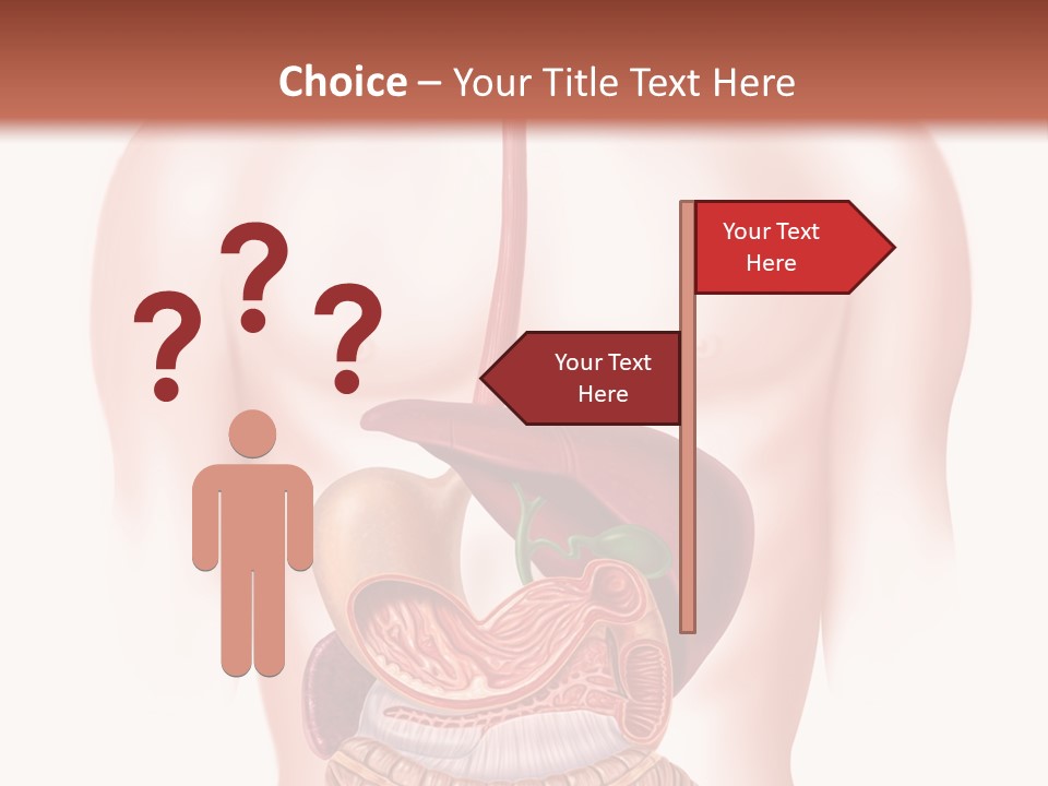 Symbol Health Cecum PowerPoint Template
