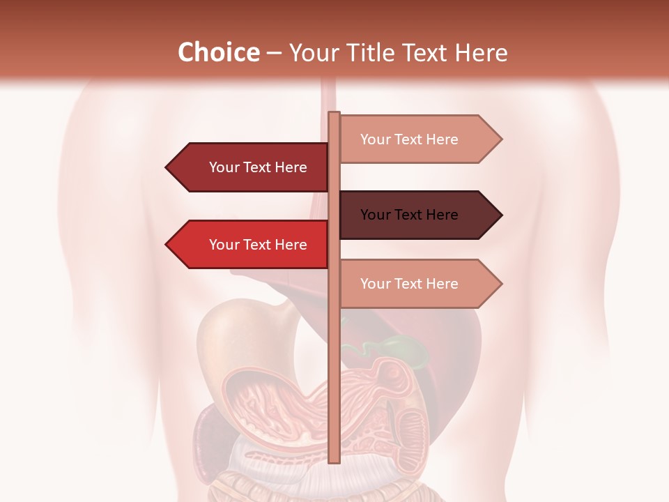 Symbol Health Cecum PowerPoint Template