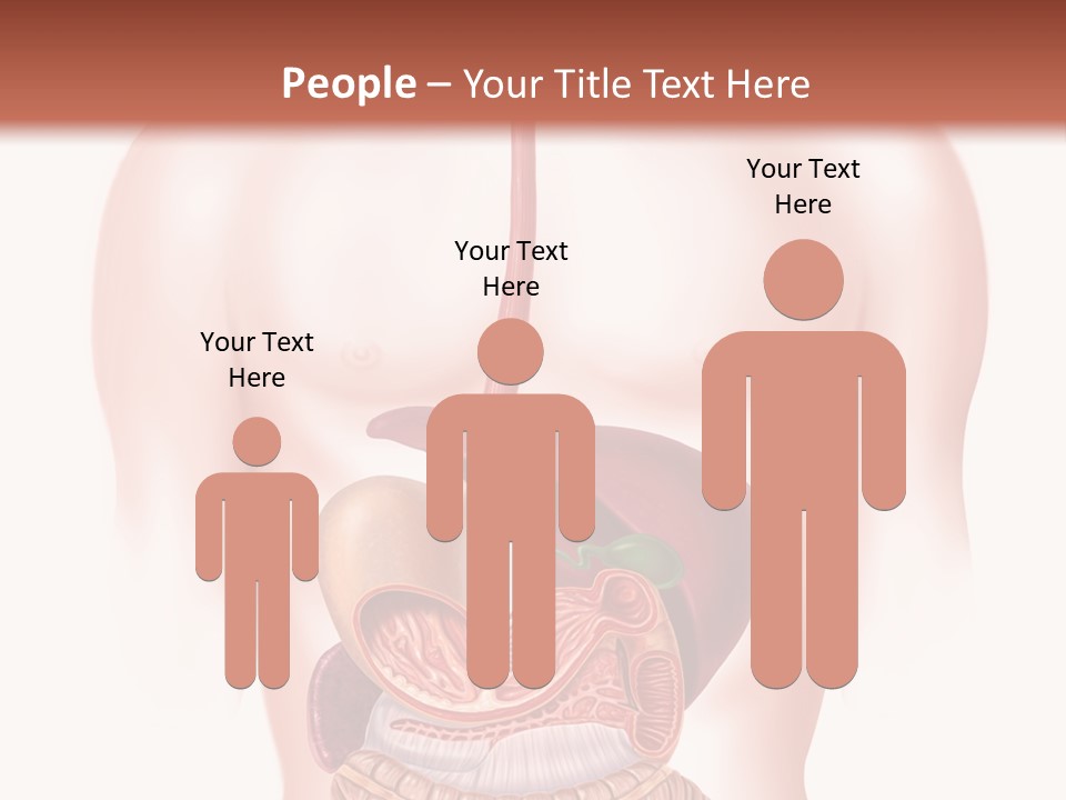 Symbol Health Cecum PowerPoint Template