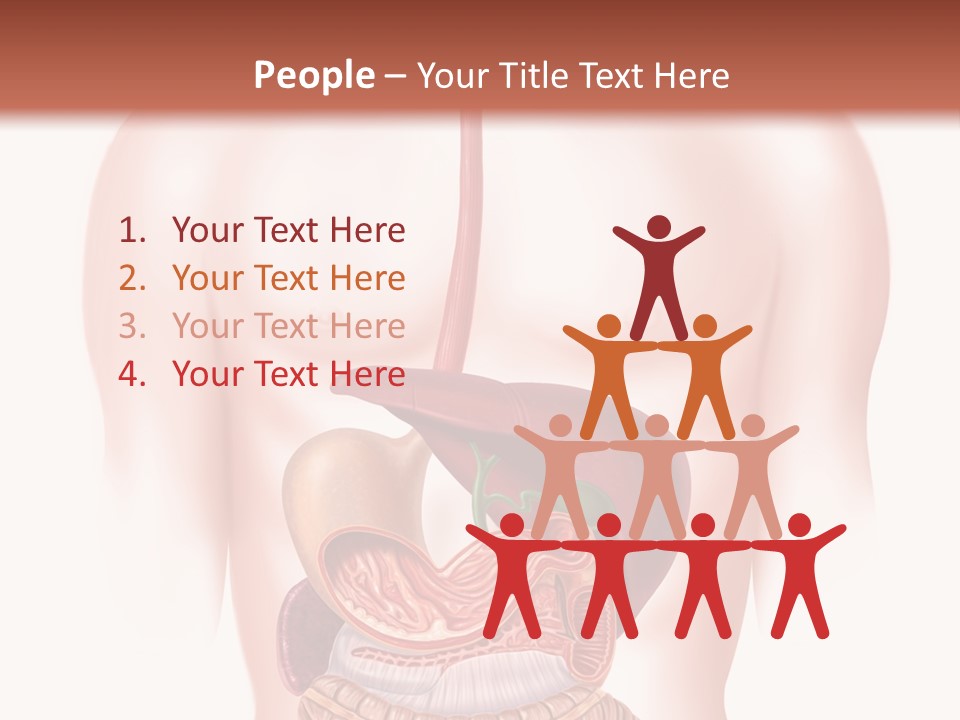 Symbol Health Cecum PowerPoint Template