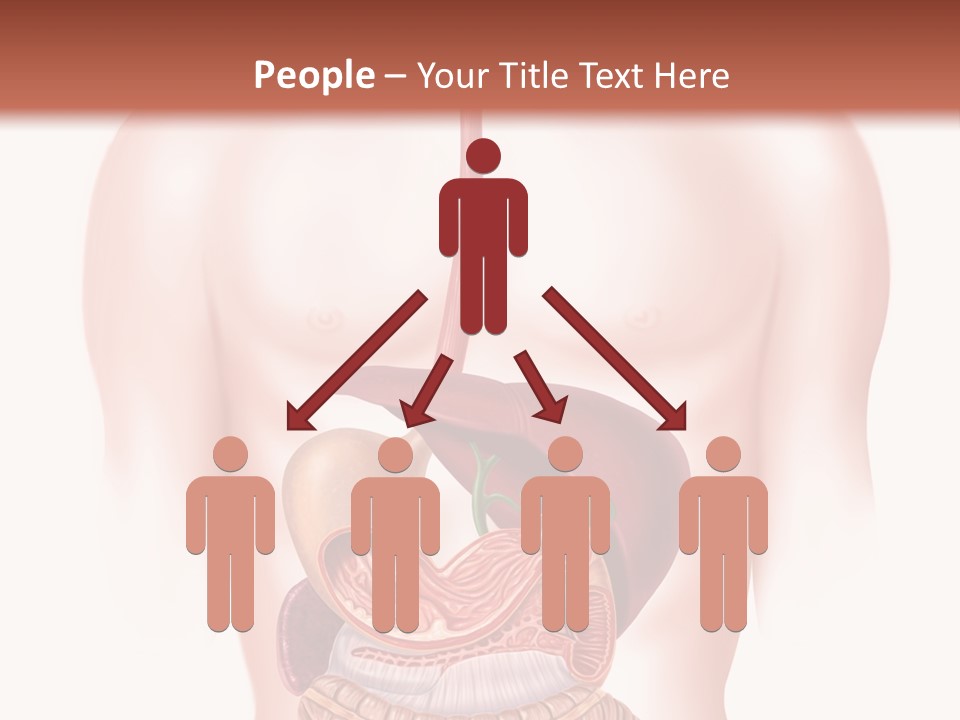 Symbol Health Cecum PowerPoint Template