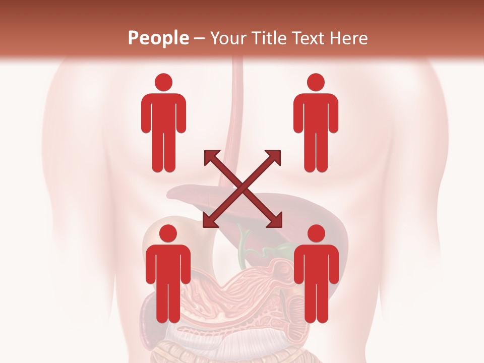 Symbol Health Cecum PowerPoint Template