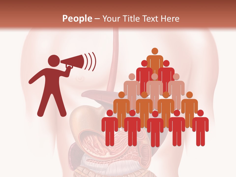 Symbol Health Cecum PowerPoint Template