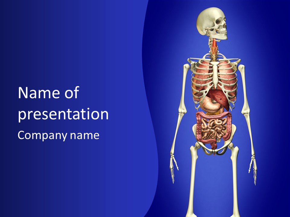 Anatomy Healthy Education PowerPoint Template