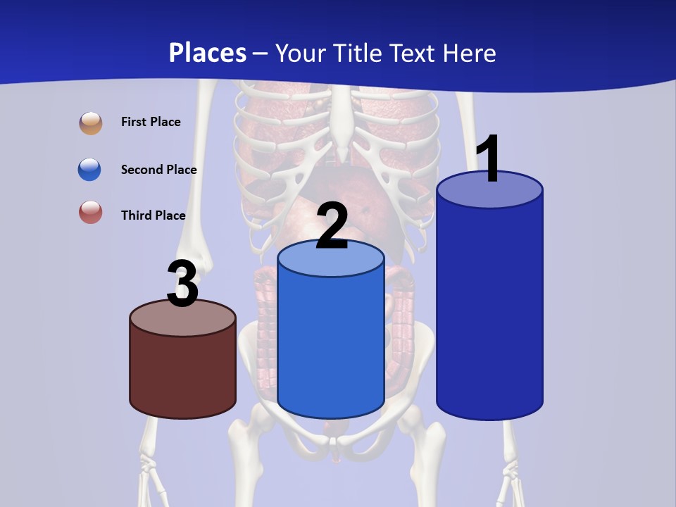 Anatomy Healthy Education PowerPoint Template
