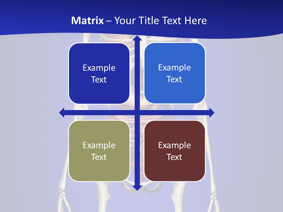 Anatomy Healthy Education PowerPoint Template