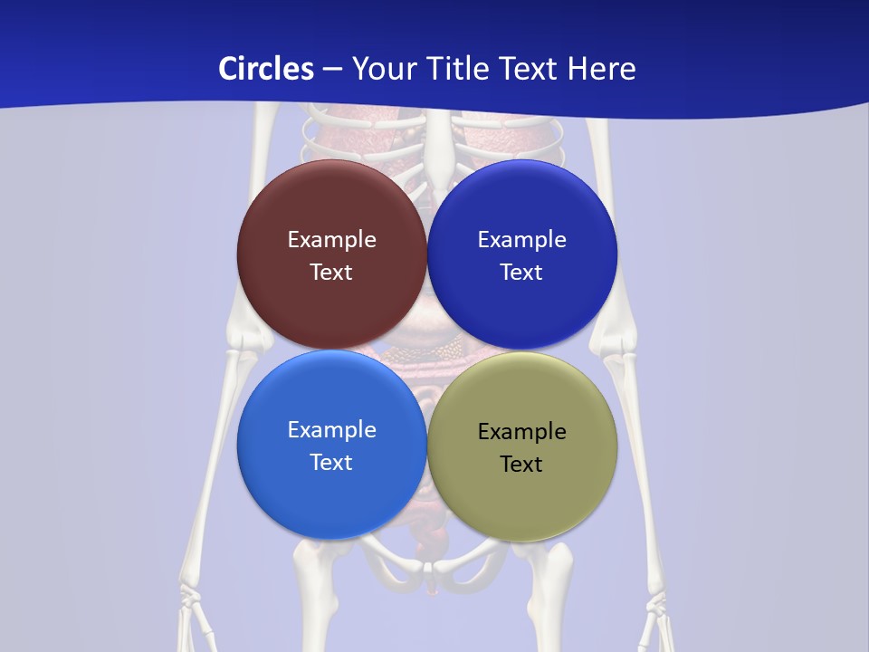 Anatomy Healthy Education PowerPoint Template