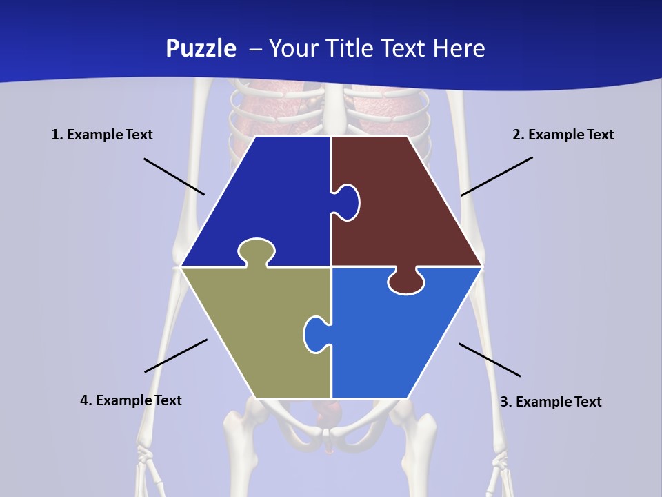 Anatomy Healthy Education PowerPoint Template