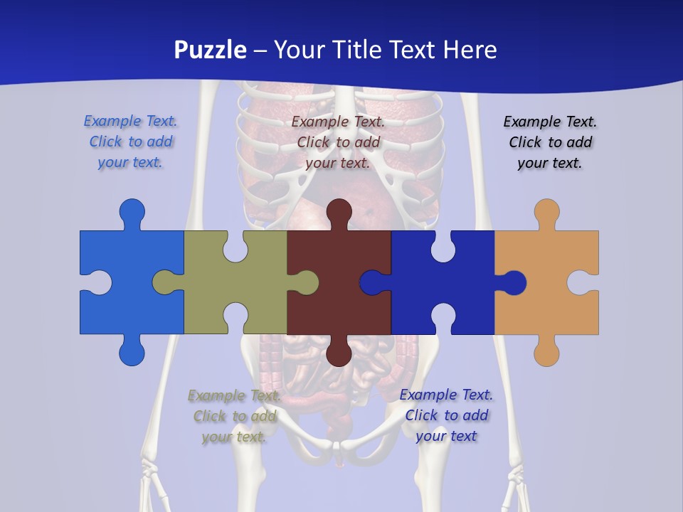 Anatomy Healthy Education PowerPoint Template