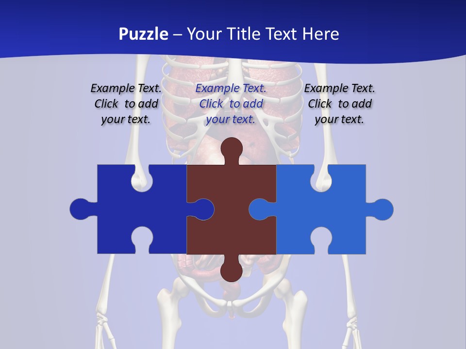 Anatomy Healthy Education PowerPoint Template