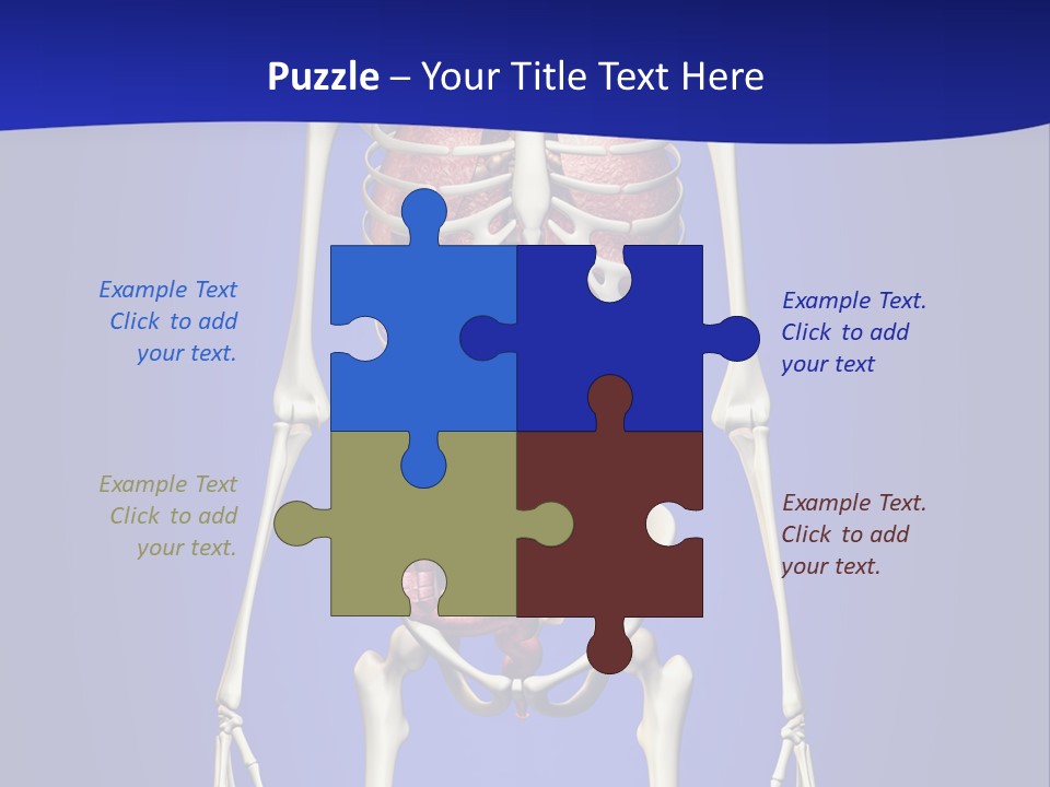 Anatomy Healthy Education PowerPoint Template