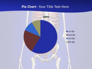 Anatomy Healthy Education PowerPoint Template