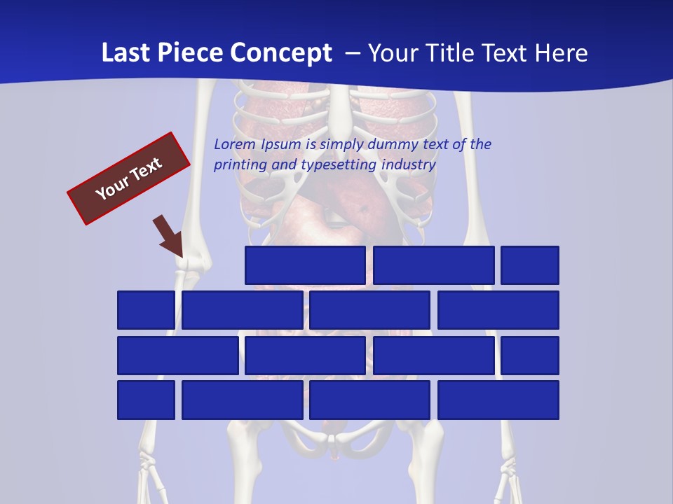 Anatomy Healthy Education PowerPoint Template