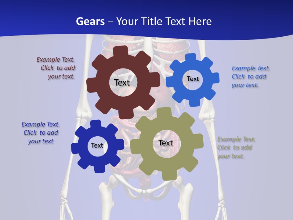 Anatomy Healthy Education PowerPoint Template