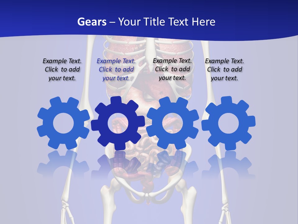 Anatomy Healthy Education PowerPoint Template