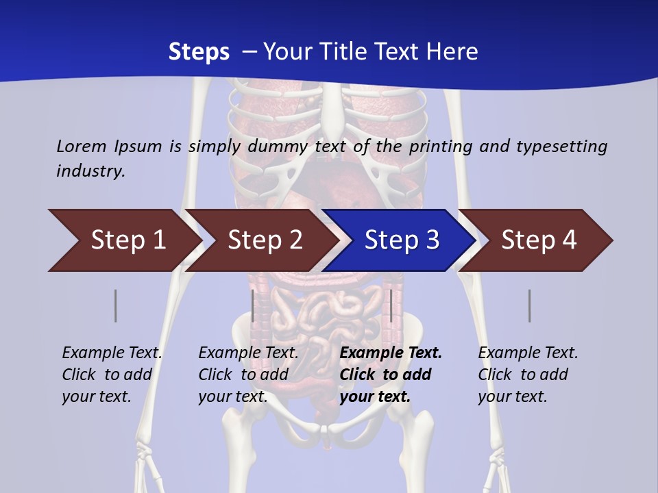 Anatomy Healthy Education PowerPoint Template