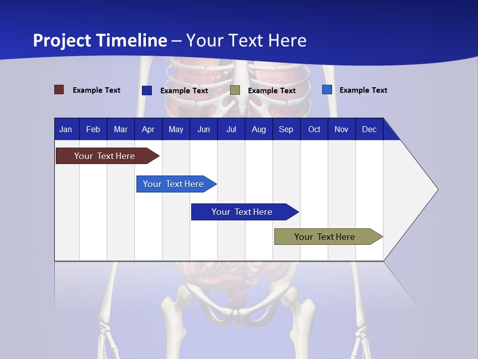 Anatomy Healthy Education PowerPoint Template