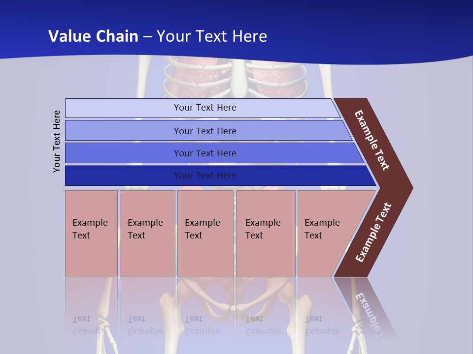 Anatomy Healthy Education PowerPoint Template