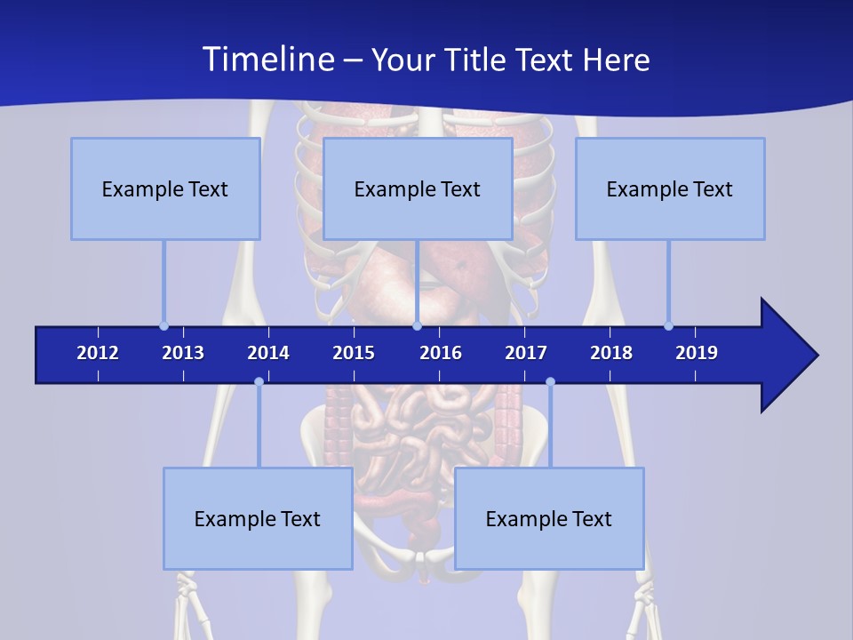 Anatomy Healthy Education PowerPoint Template
