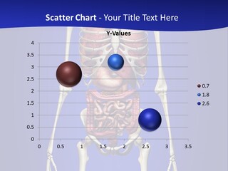 Anatomy Healthy Education PowerPoint Template