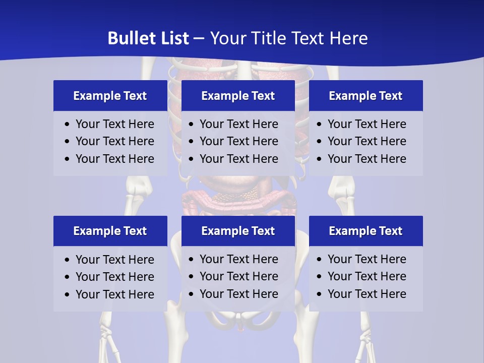 Anatomy Healthy Education PowerPoint Template