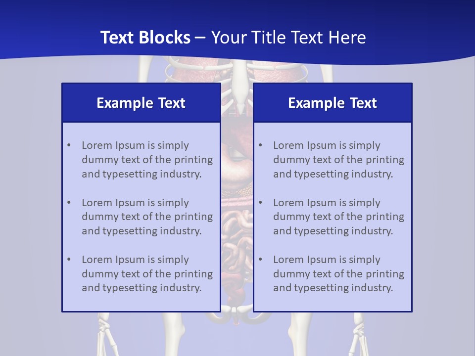 Anatomy Healthy Education PowerPoint Template