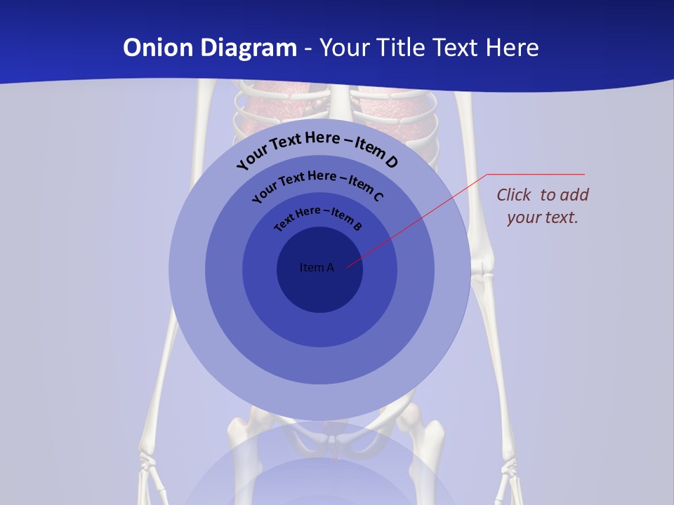 Anatomy Healthy Education PowerPoint Template